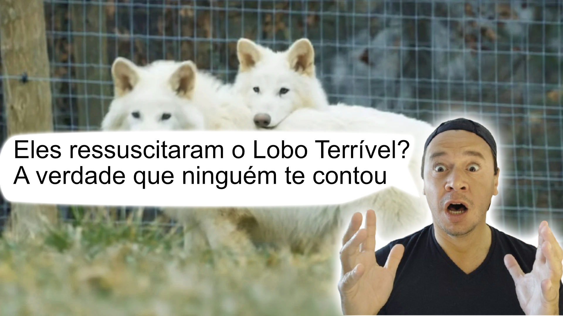 Lobo-Terrível Ressuscitado? Entenda a Verdade por Trás do Anúncio